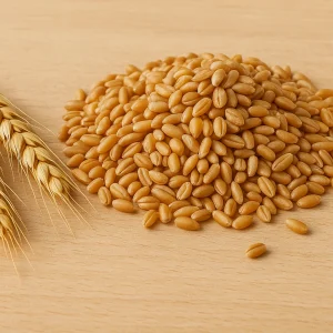 Wheat
